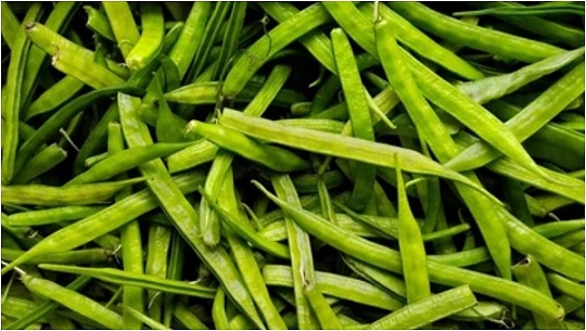 Cluster Beans Benefits: क्या आप भी ग्वार फली की सब्जी को देखकर बनातें हैं मुंह? हैरान कर देंगे इसके ये 8 फायदे