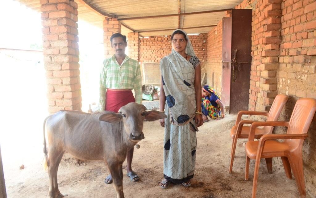 गोधन न्याय योजना : सुनिता के पारिवारिक स्थिति की आर्थिक समृद्धि का बना आधारगौपालन के साथ गोबर विक्रय से प्राप्त कर रही अतिरिक्त आय