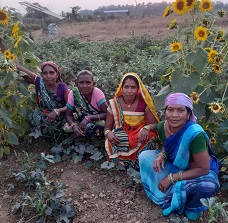 लखपति बनी चारपारा गौठान की जय महामाया समूह की दीदियां, वर्मी कंपोस्ट से लाभांश के रूप में मिले 3लाख 68हजार 664 रुपए