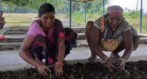 गौठान से आजीविका संवर्धन की ओर बढ़ रही महिलाएं, गोबर से खाद तैयार कर कमा रही हैं मुनाफा