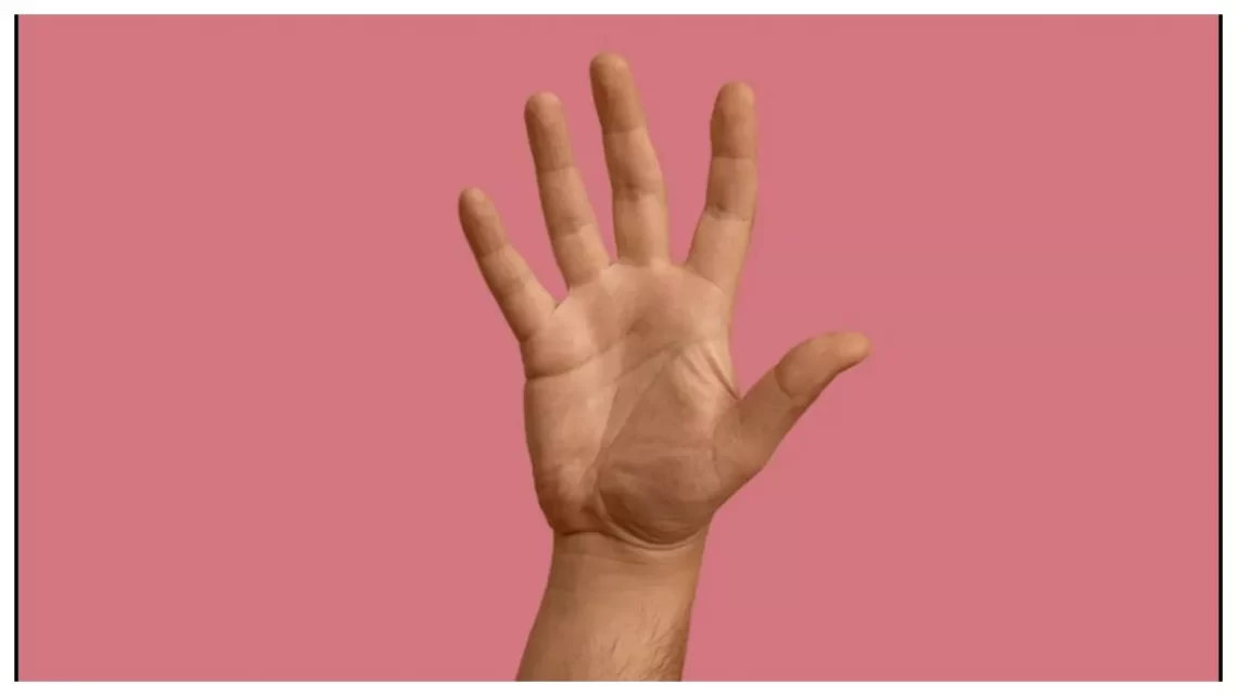 Palmistry: व्यक्तित्व के बारे में बहुत कुछ बता सकती हैं आपकी उंगलियां, इनकी लम्बाई से जाने अपना भविष्य