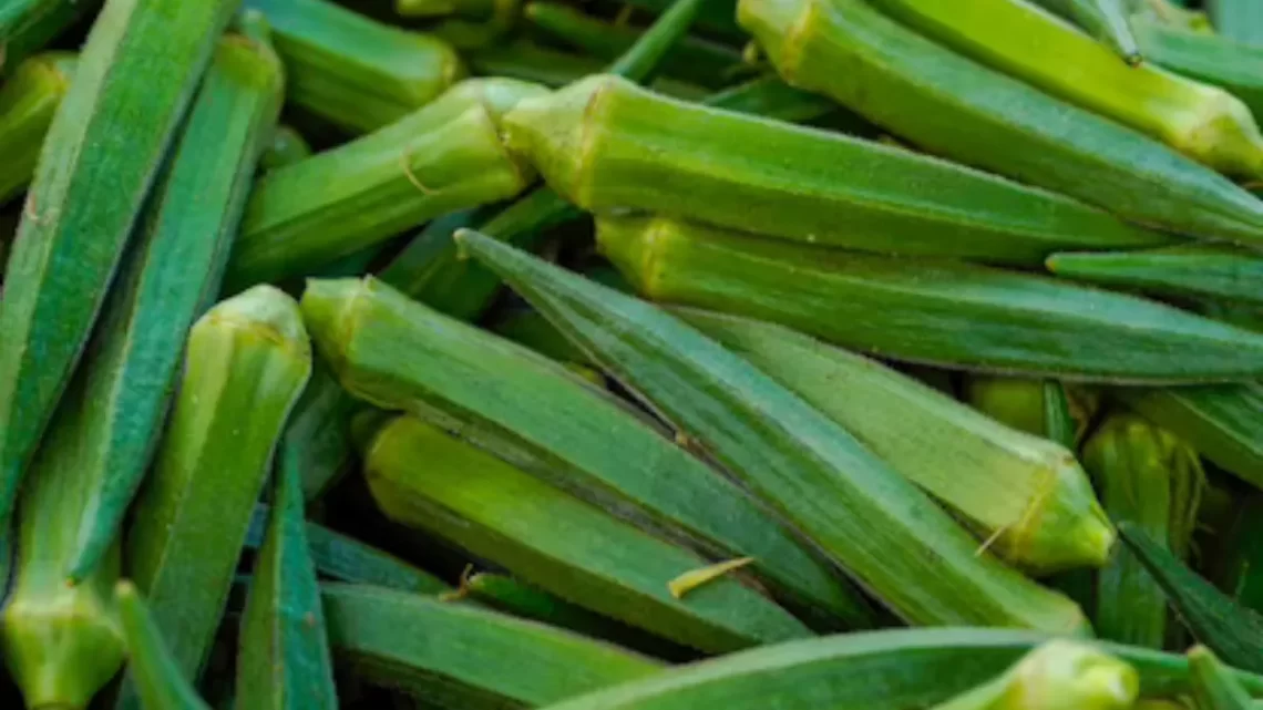 Okra Water: झुर्रियां हटाने से लेकर त्वचा सॉफ्ट बनाने तक, स्किन की इन समस्याओं में लाभकारी है भिंड़ी का पानी