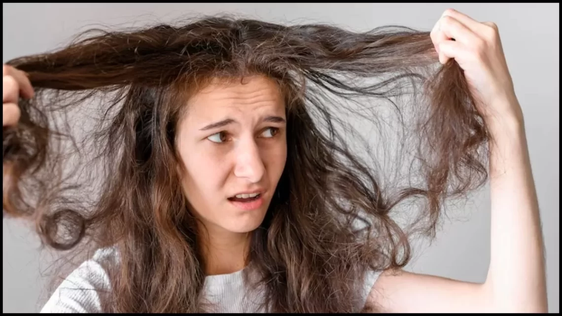 Homemade Hair Conditioners: परेशानी का सबब बन गए हैं रूखे-सूखे बाल, तो ट्राई करें ये 3 होममेड कंडीशनर