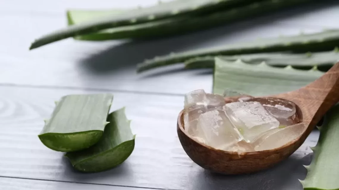 Aloe Ice: इस बार गर्मियों में सिंपल फेस आइसिंग के बजाय ट्राई करें एलो आइसिंग, बस करना है ये आसान काम