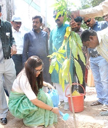 विश्व पर्यावरण दिवस: जनप्रतिनिधियों, कलेक्टर एवं एस पी ने फलदार पौधे लगाकर किया वृक्षारोपण अभियान की शुरूआत