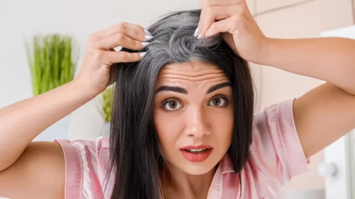 Premature Hair Greying: क्या आपके बाल भी होने लगे हैं समय से पहले सफेद? तो इसके पीछे हो सकती हैं ये वजहें