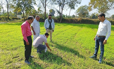 छत्तीसगढ़ बन रहा देश का मिलेट हब: देश का इकलौता राज्य जहां समर्थन मूल्य पर खरीदा जा रहा मिलेट्स