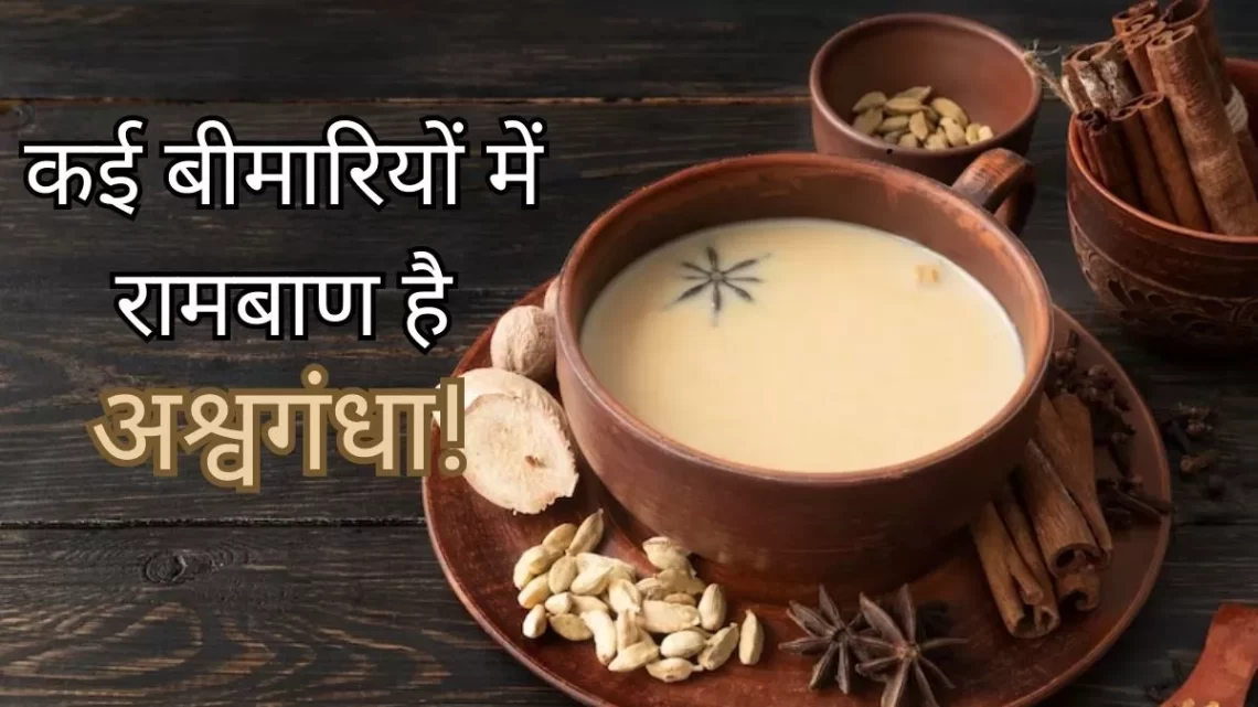 Ashwagandha Milk Benefits: इम्युनिटी स्ट्रॉन्ग बनाने के साथ सेहत को ये 4 फायदे पहुंचाता है ‘अश्वगंधा वाला दूध’