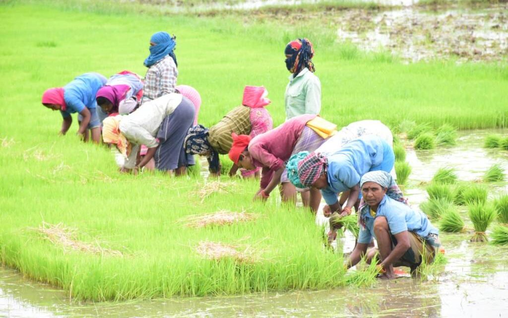 CG NEWS : कृषि-जल संसाधन के क्षेत्र में राजनांदगांव डेल्टा रैंकिंग में तीसरे स्थान पर