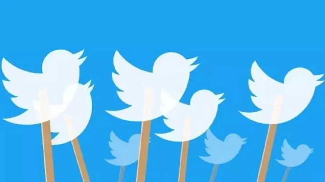 Twitter Logo: नीली चिड़िया की जगह अंग्रेजी का ‘एक्स’ होगा ट्विटर का नया लोगो, खुद एलन मस्क ने दी जानकारी