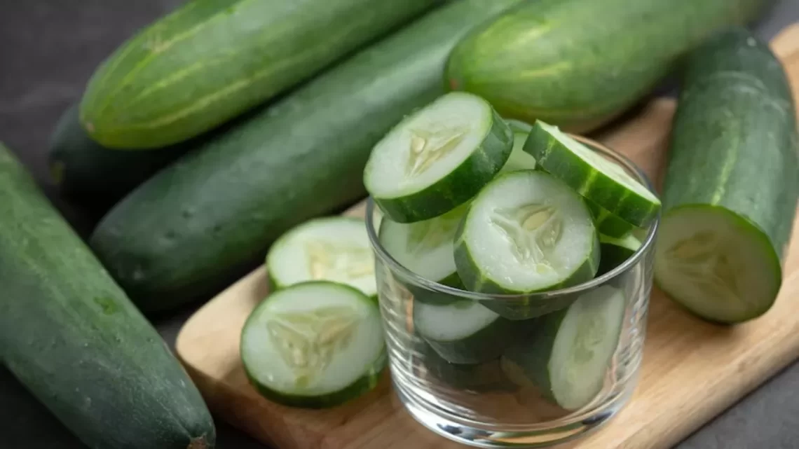 Cucumber Benefits : वजन से लेकर कोलेस्ट्रॉल और ब्लड शुगर मैनेज करने तक, खीरे में हैं कई अद्भुत गुण