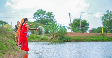 ग्रामीण अर्थव्यवस्था का मजबूत आधार बनी गौठान