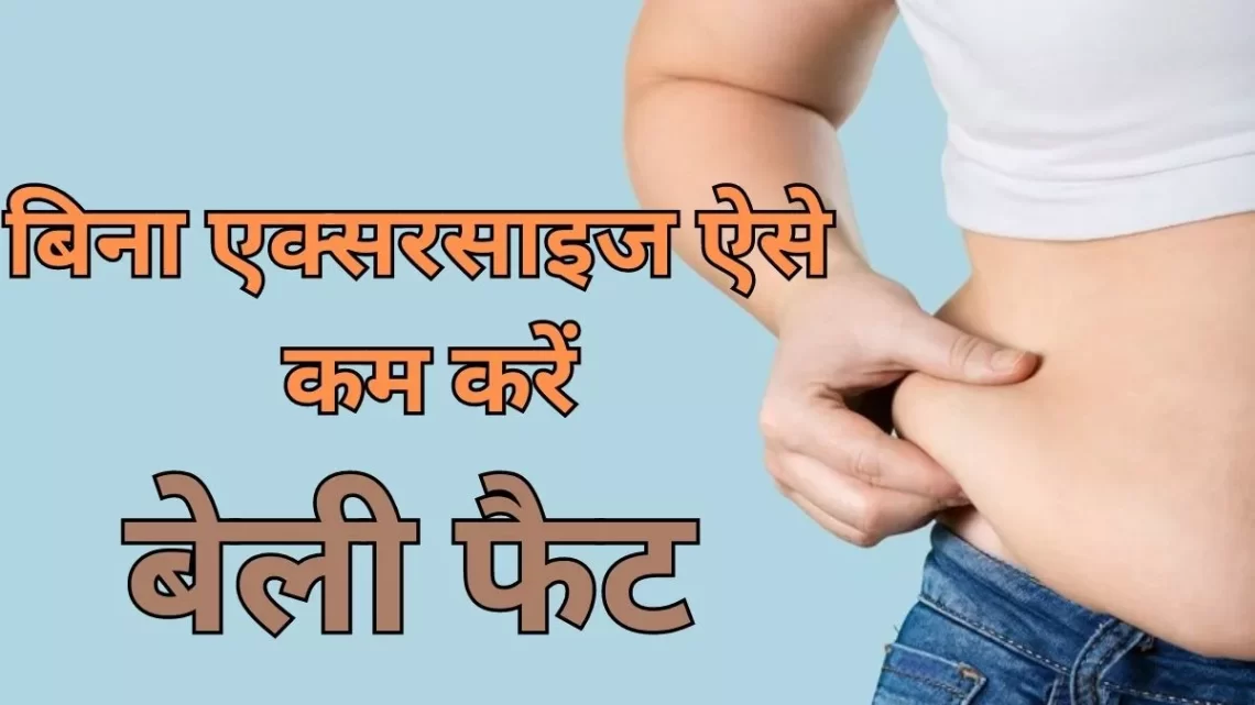 Weight Loss Tips: बिना एक्सरसाइज कम करना चाहते हैं बेली फैट, तो आपके लिए फायदेमंद होंगे ये आसान तरीके