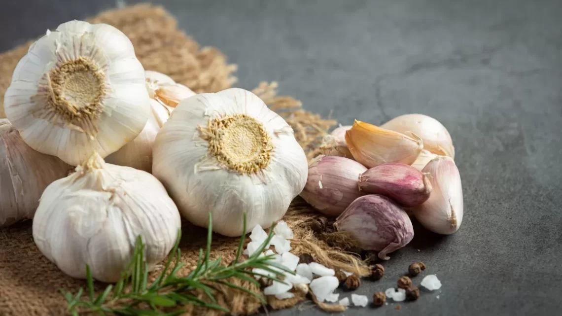 Garlic Home Remedies: मौसमी सर्दी-जुकाम ने कर रखा है परेशान या मोटापा ने, लहसुन से करें इन सबका इलाज