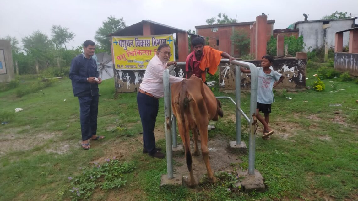 CG NEWS: फसलों की सुरक्षा के लिए गांव-गांव में चल रहा रोका-छेका अभियान