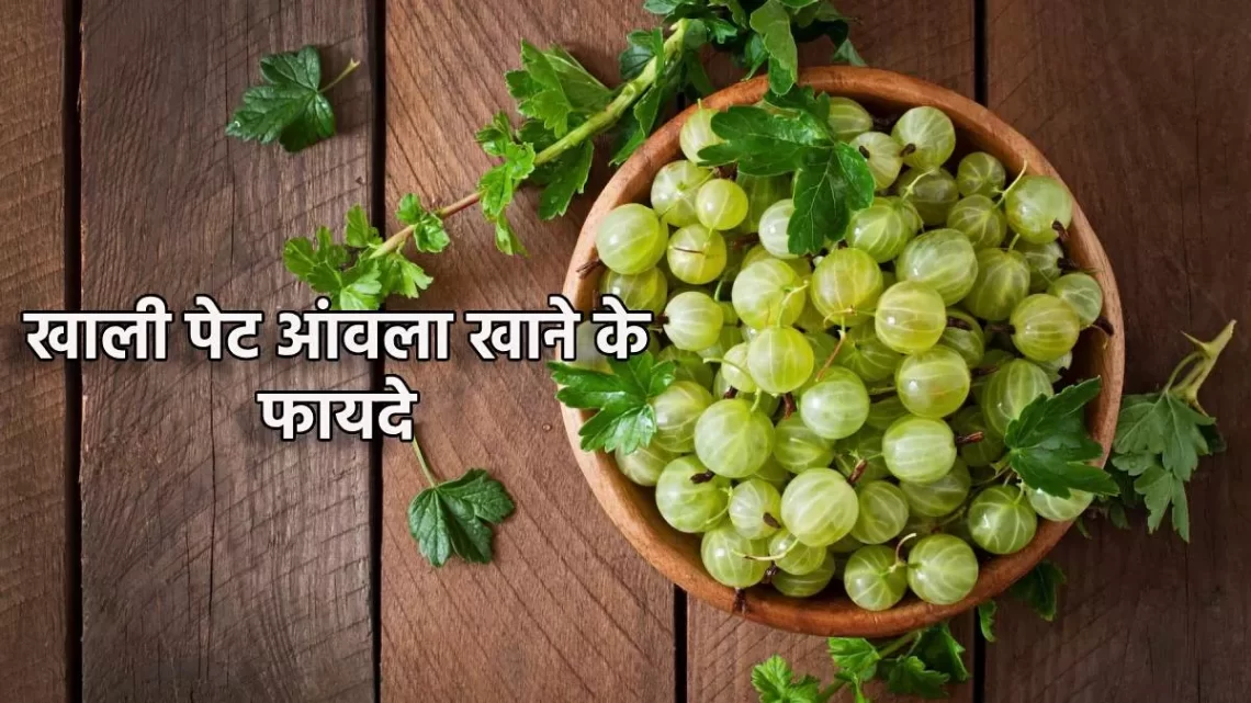 Benefits of Amla: सुबह खाली पेट करें इस फल का सेवन और पाएं दमकती त्वचा के साथ पेट की समस्याओं से भी छुटकारा