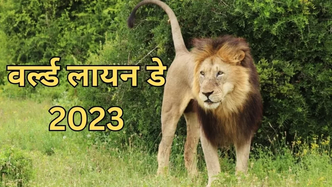 World Lion Day 2023: वर्ल्ड लायन डे पर करीब से देखना चाहते हैं शेर, तो इन जगहों की करें सैर