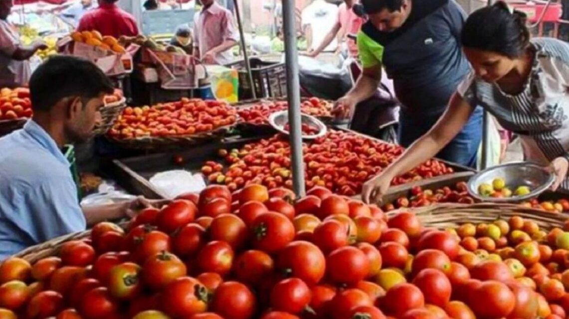 टमाटर की कीमत 100 रुपये प्रति किलोग्राम के पार..