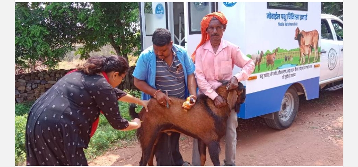 RAIPUR:‘‘मुख्यमंत्री गौवंश मोबाइल चिकित्सा योजना‘‘ के सकारात्मक परिणाम सामने आने लगे