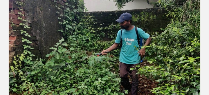 RAIGARH:मितानिन एवं आंगनबाड़ी कार्यकर्ताओं ने शुरु किया डोर टू डोर जन जागरूकता एवं डेंगू सर्वे अभियान