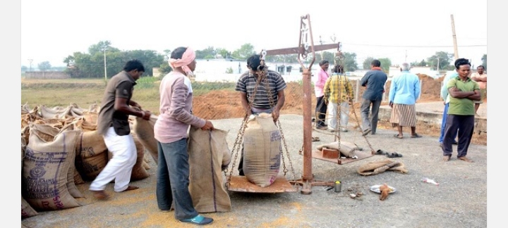 RAIPUR:प्रदेश में किसानों से समर्थन मूल्य पर धान और मक्का की खरीदी एक नवंबर से होगी शुरू