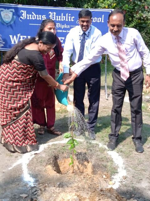 KORBA: इंडस पब्लिक स्कूल में शिक्षक-शिक्षिकाओं द्वारा विभिन्न फलदार पौधों का रोपण