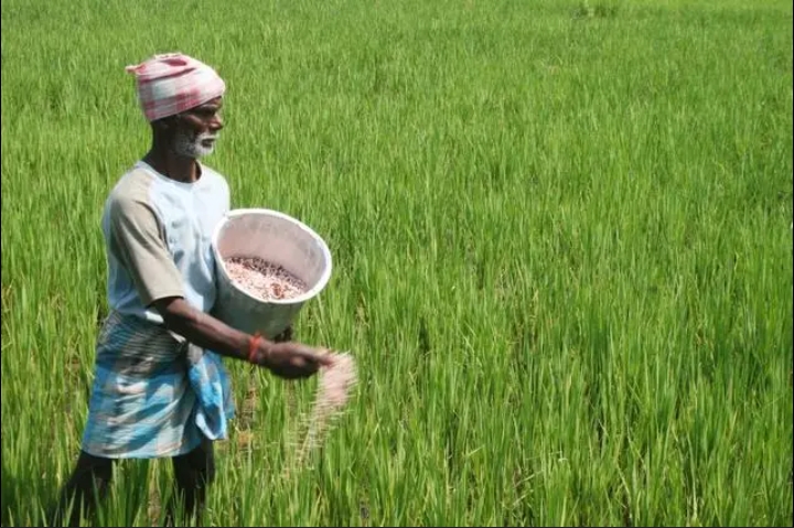 किसानों के लिए खुशखबरी! अब फसल की जड़ में नहीं लगेंगे कीट, UPCSR ने निकाला ये रामबाण उपाय