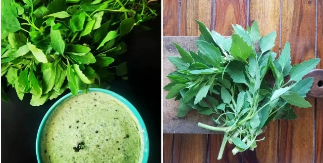 Bathua Saag Benefits: सर्दियों में किसी वरदान से कम नहीं है बथुआ का साग, जानें इसे खाने के ढेरों फायदे