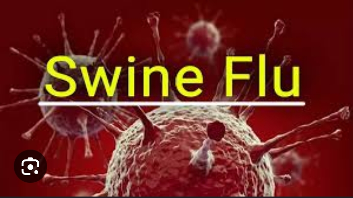 UK में पहली बार मिला Swine Flu का नया स्ट्रेन, जानें इससे जुड़ी सभी जरूरी बातें