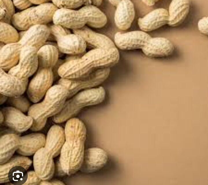 Peanut Benefits: सेहत का खजाना है मूंगफली, जानें इसे सर्दियों में खाने के ढेरों फायदे