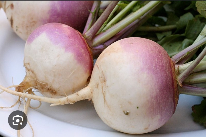 Turnips Benefits: वजन से लेकर हाई बीपी कंट्रोल करने तक, सर्दियों में शलजम खाने के हैं गजब के फायदे