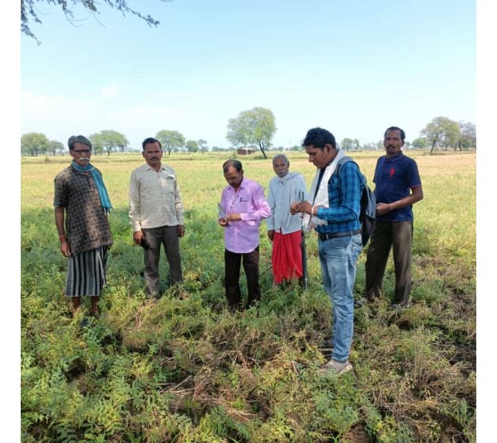 ओलावृष्टि-बेमौसम बारिश से प्रभावित फसलों का सर्वेक्षण का काम शुरू