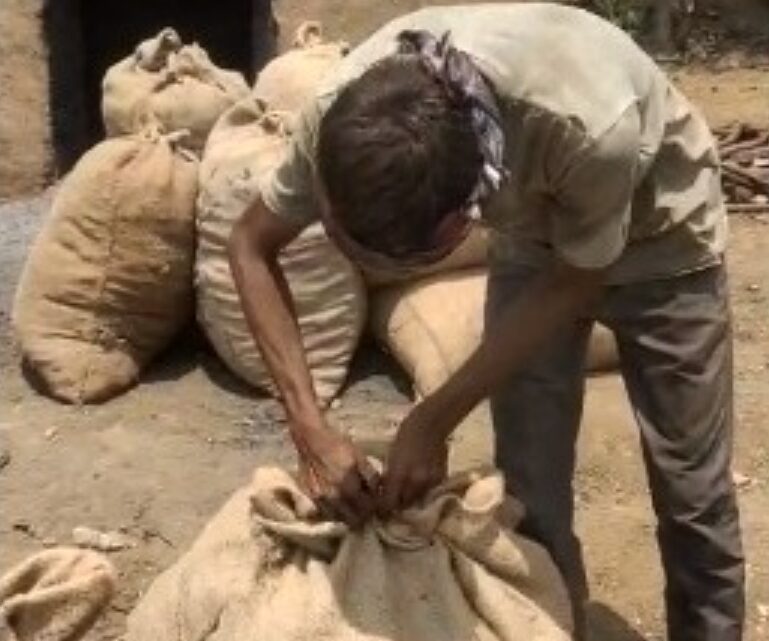 बिलासपुर में वन विभाग की टीम को मिली बड़ी सफलता,अवैध कोयला बनाने वाले डिपो पर छापामार कार्यवाही, लाखों का कोयला जप्त