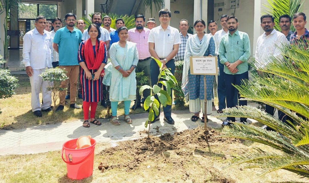 सीईओ जिला पंचायत ने विश्व पर्यावरण दिवस पर किया पौधरोपण