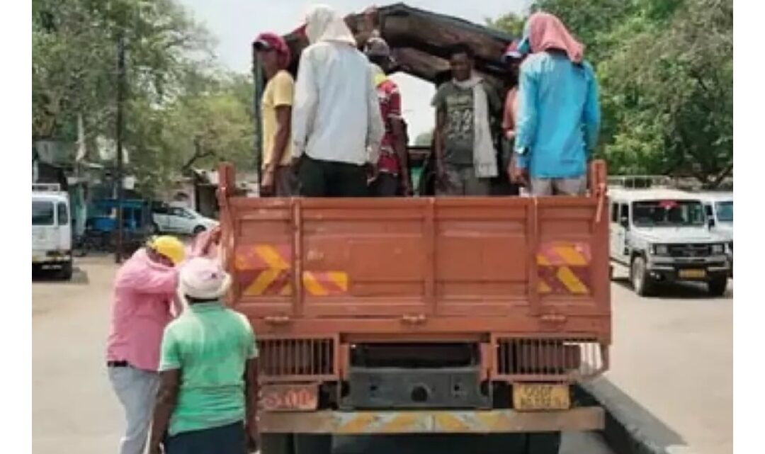 छत्तीसगढ़: मालवाहक में बैठाई सवारी, 12 वाहन चालकों का लाइसेंस निलंबित…