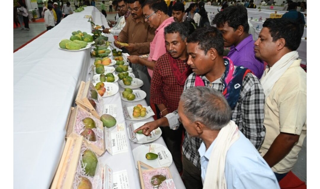 रायपुरवासियों के लिए आकर्षण का केन्द्र बना राष्ट्रीय आम महोत्सव