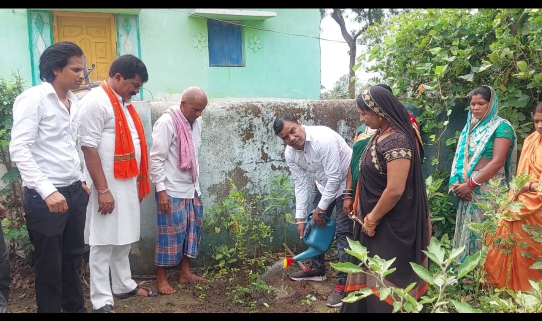 देश के पहले किसान स्कूल में आयोजित हुआ श्रद्धाजंलि कार्यक्रम, फलदार अनार पौधा का किया गया रोपण, जन्म जयंती पर वरिष्ठ पत्रकार कुंजबिहारी साहू को नमन किया गया