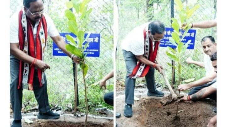 कोरबा: आदिम जाति मंत्री रामविचार नेताम ने ‘‘एक पेड़ मां के नाम’’ अभियान के तहत किया पौधरोपण