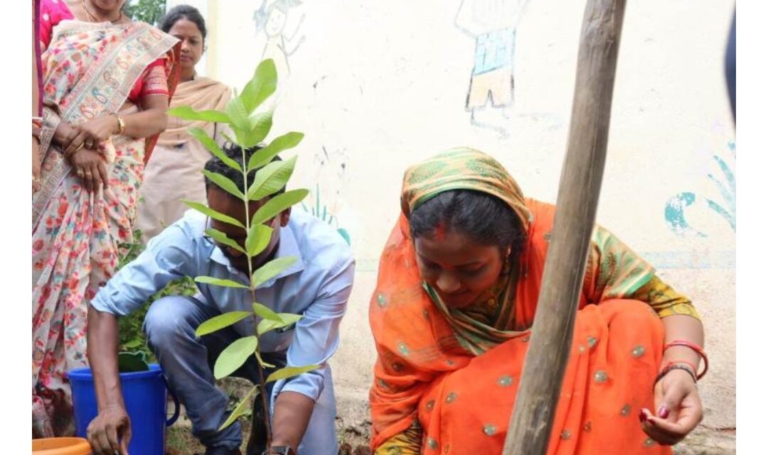 महिला-बाल विकास मंत्री ने आंगनबाड़ी में लगाया अमरूद का पौधा