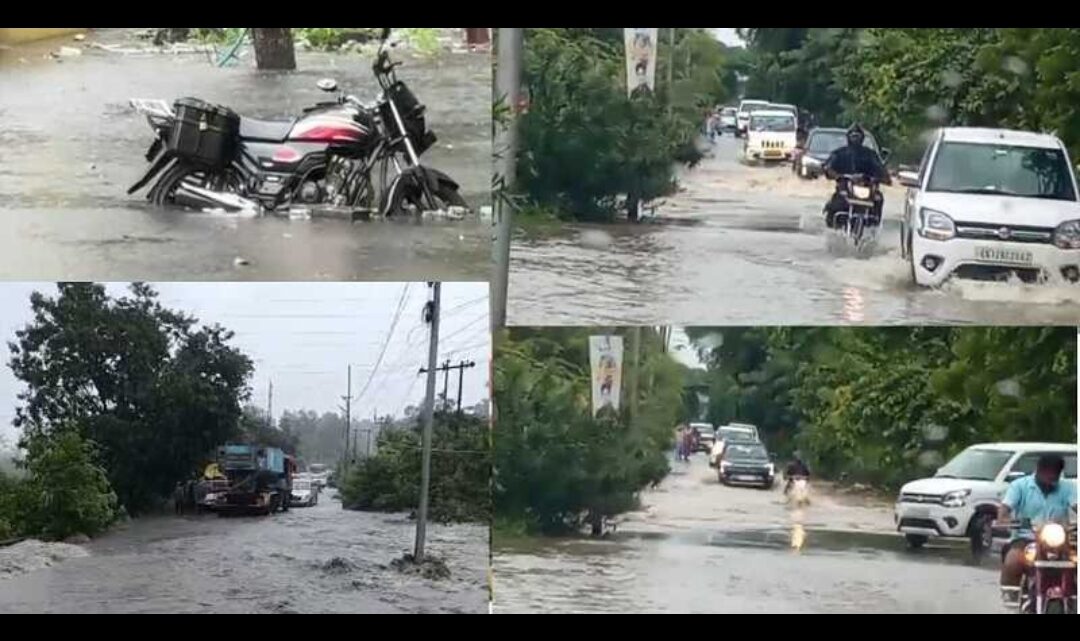 जिले में झमाझम बारिश से नदी, नाले उफान पर