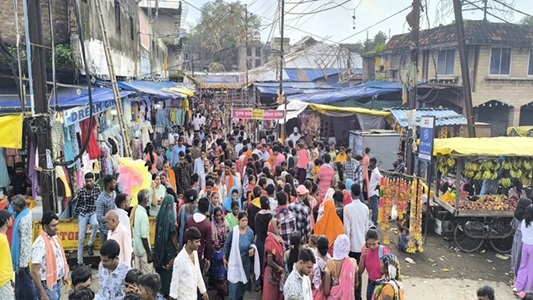 मथुरा-वृंदावन की तरह लोगों को आक​र्षित कर रहा रायगढ़ का झूला उत्सव