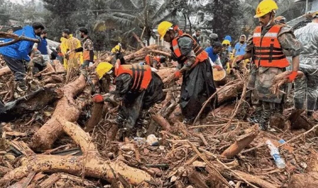 वायनाड लैंडस्लाइड- 341 शवों का पोस्टमार्टम, इनमें 206 की पहचान: 134 बॉडीज के टुकड़े मिले; जिला प्रशासन ने माना- रेस्क्यू में नाकाम हुए