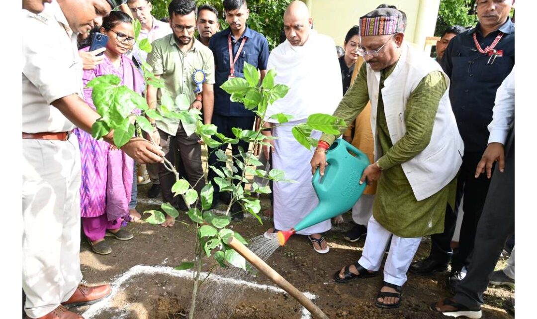 आइए इस हरेली धरती माँ का श्रृंगार करें, एक पेड़ मां के नाम लगाएं