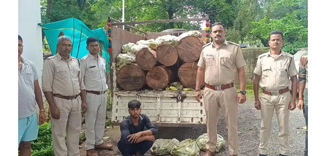 वन विभाग ने खीरे की आड़ में लकड़ी की तस्करी करने वाला तस्कर को किया गिरफ्तार..