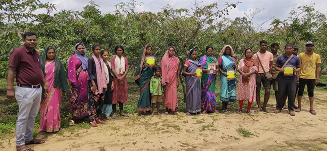 अर्जुन के पौधों में रेशम कीट पालन से आत्मनिर्भर हो रहे दर्जन भर आदिवासी परिवार