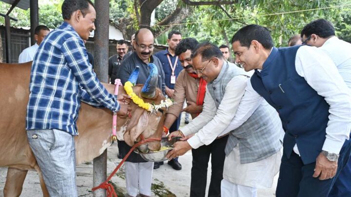 सीएम साय ने गाय की पूजा-अर्चना कर खिलाई गुड़-खिचड़ी