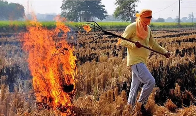 पराली जलाने पर अब दोगुना भरना होगा जुर्माना