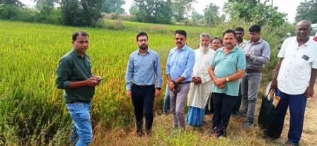 धान उपार्जन के लिए कलेक्टर ने किया खेतों मे उतर कर खसरा सत्यापन