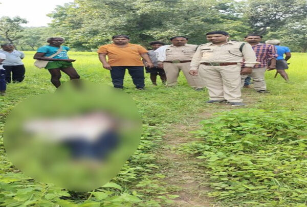 कोरबा : हाथी के हमले में नाबालिग की मौत, पसान वन रेंज में हाथियों का उत्पात जारी