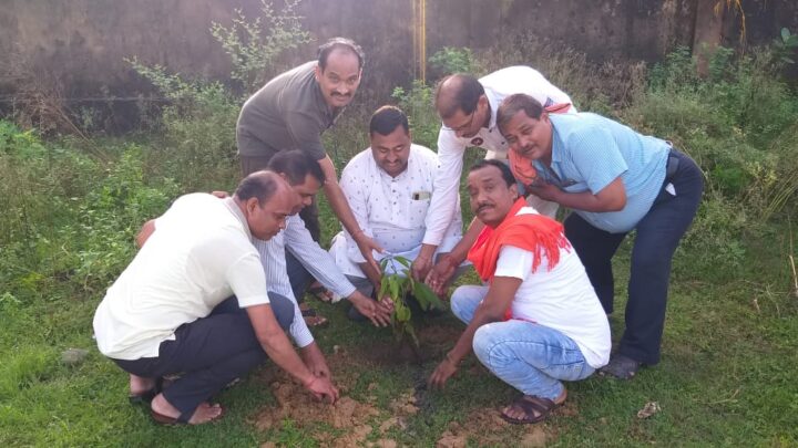 भारतीय जनता पार्टी पिछड़ा वर्ग मोर्चा बालकों मंडल द्वारा ”सेवा पखवाड़ा” के तहत स्वच्छता अभियान एवं वृक्षारोपण का किया गया कार्यक्रम